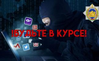 За первую неделю сентября в Витебской области зарегистрировано 56 киберпреступлений