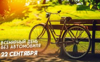 Витебск дышит свободно! Присоединяйся к Дню без автомобиля и масштабному велопробегу 