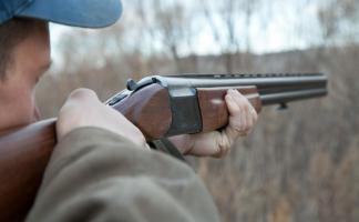 За 9 месяцев нынешнего года на Витебщине против браконьеров возбуждено 32 уголовных дела