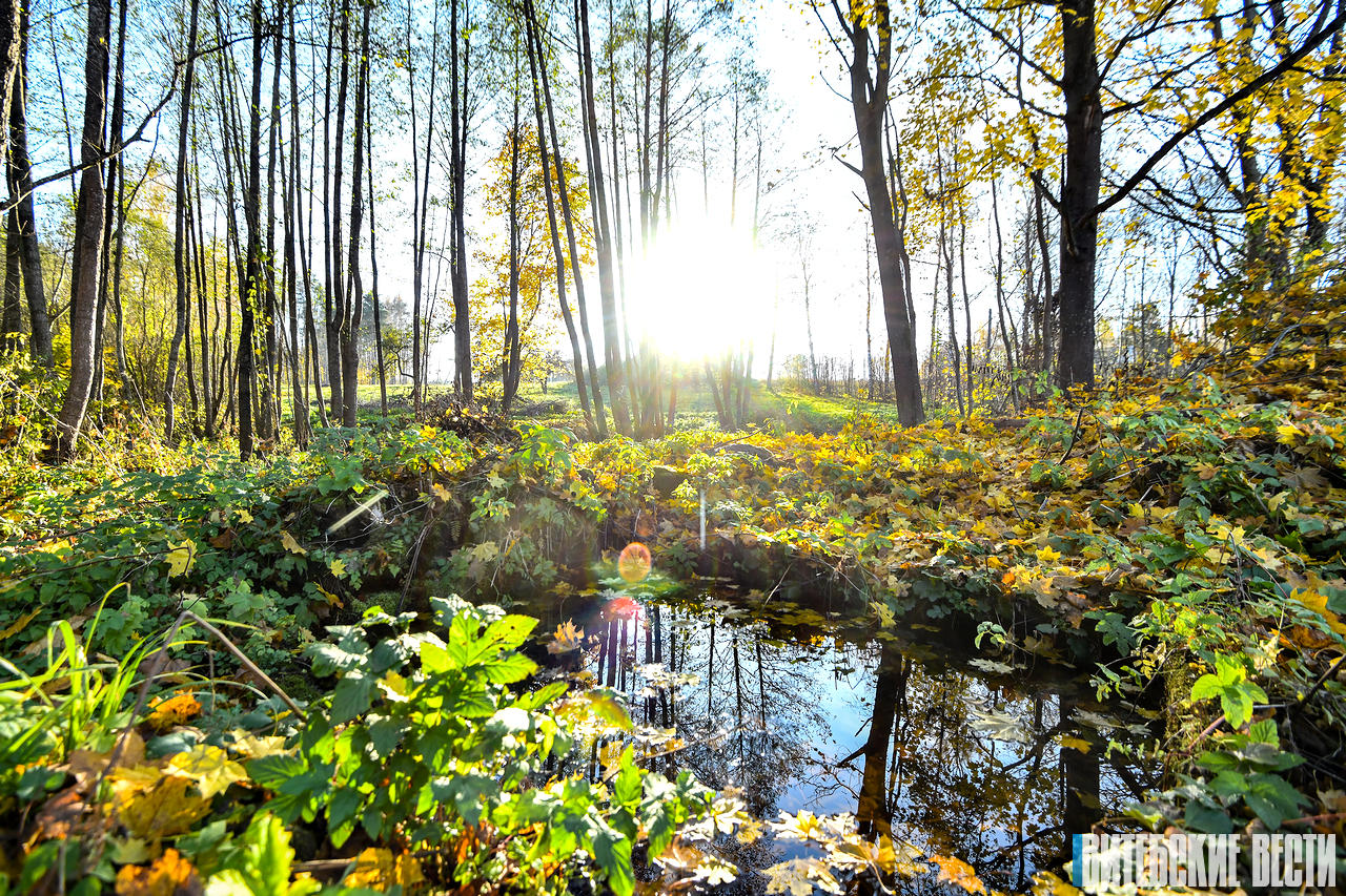 Святой источник в деревне Сорочино на Ушаччине превратят в туристический объект с купелью и парковкой