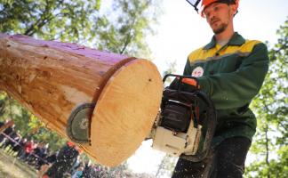 Команда Полоцкого лесного колледжа завоевала награды на Всероссийском профессионально-прикладном соревновании «Лесное многоборье — 2025»