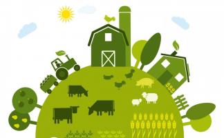 Познакомиться с работой сельхозпредприятий. В Богушевской средней школе действует профильная группа аграрной направленности