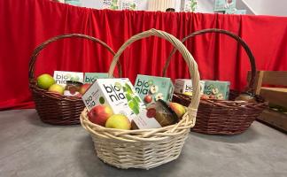 Александр Субботин и Игорь Сергеенко дали старт работе плодоовощному производству в Шарковщине