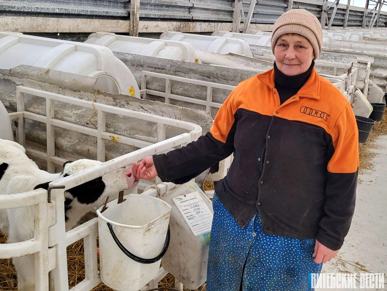 «Теленок не машина, его надо настраивать душой»: история Натальи Роговой из Толочинского района