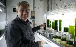 14 ноября 75 лет отмечает наш земляк, ученый, биофизик Николай Шалыго 