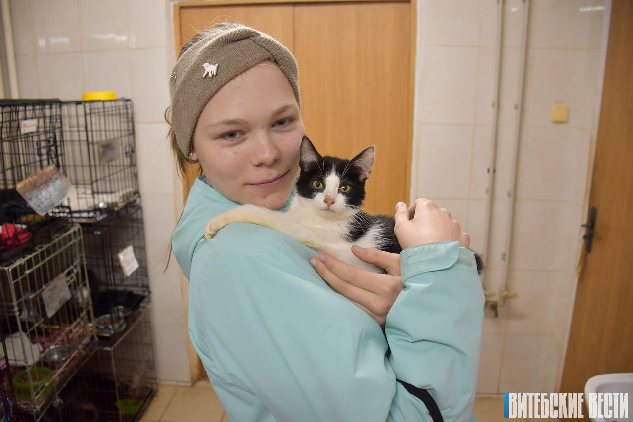 В витебском приюте «Добрик» живут более 300 собак, которые ждут хозяев