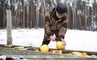 Обязанности егерей в Беларуси будут изменены с 1 января