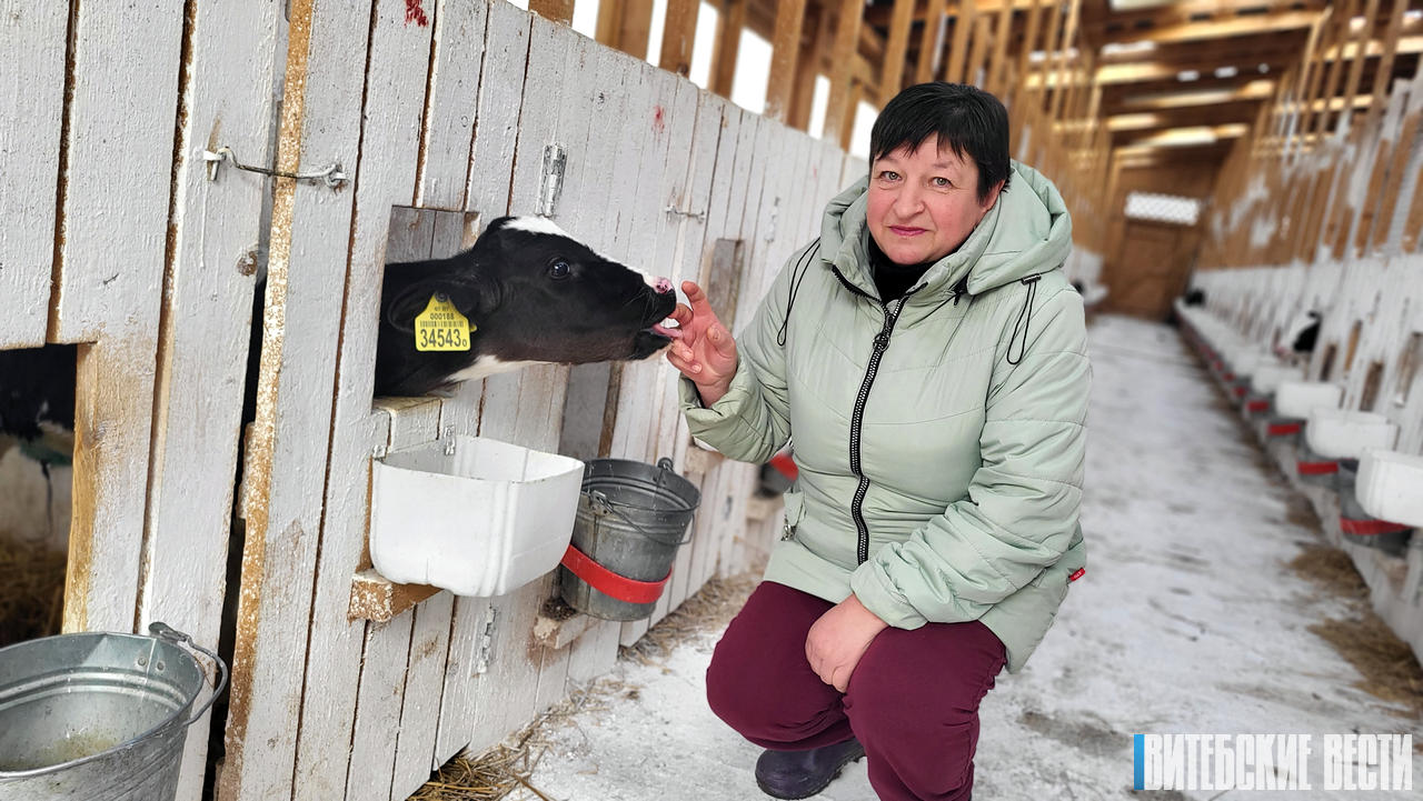 Прирастет тремя фермами: в Толочинском районе завершается присоединение «Звездного-Агро» к хозяйству «Друцк-Агро»