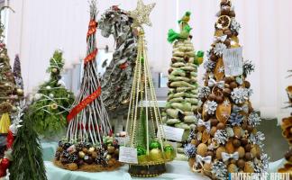 Эко-елки и символы 2026-го. Лучшие работы определили на областном этапе конкурса «Лед. Цветы. Фантазия» в Витебске