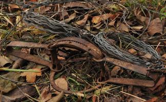 13 нарушений выявлено в Витебской области в рамках специального комплексного мероприятия «Охота»