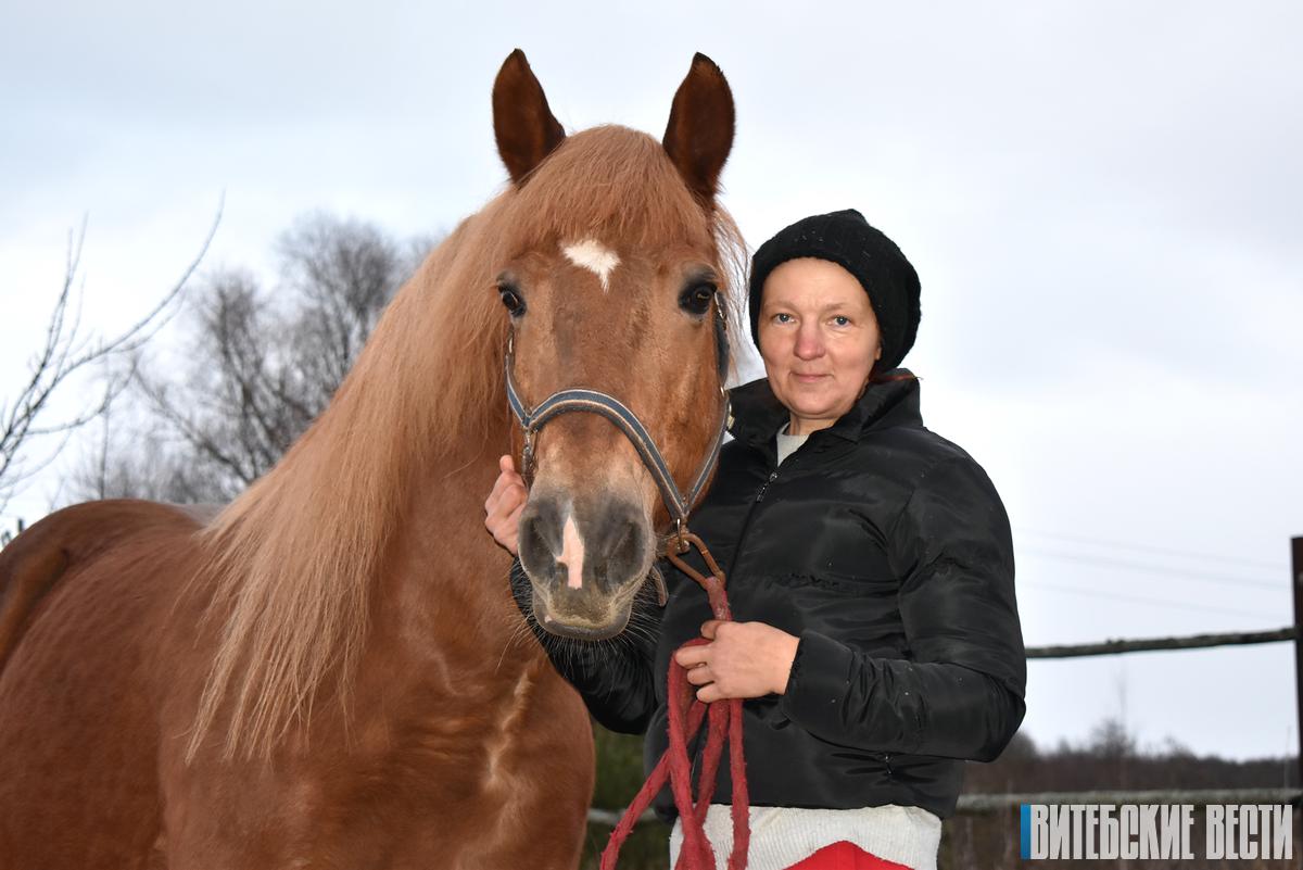 Огненный дух и сила сострадания: корреспондент «ВВ» побывал в приюте для лошадей на Браславщине