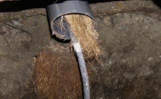 Фонтан из унитаза каждые 3 месяца: жители дома на Чкалова в Витебске замучились с проблемной канализацией