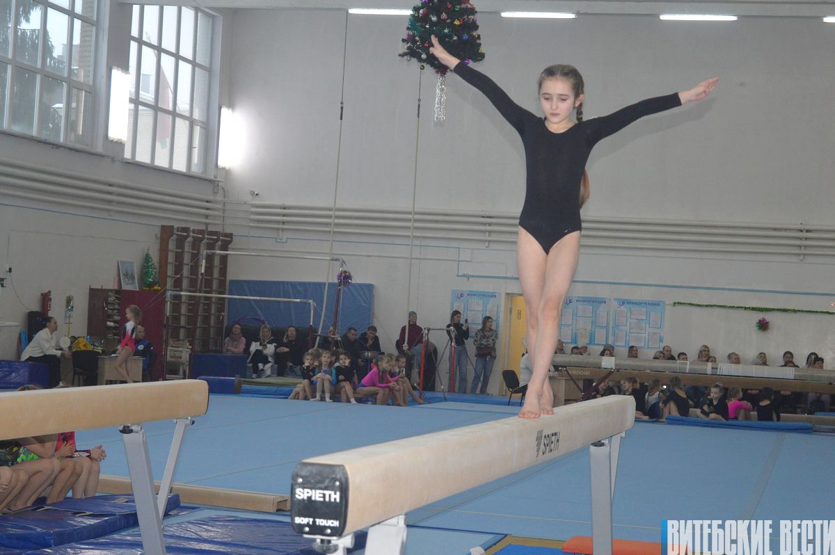 Фоторепортаж. В Витебске состоялось областное первенство ДЮСШ по спортивной гимнастике