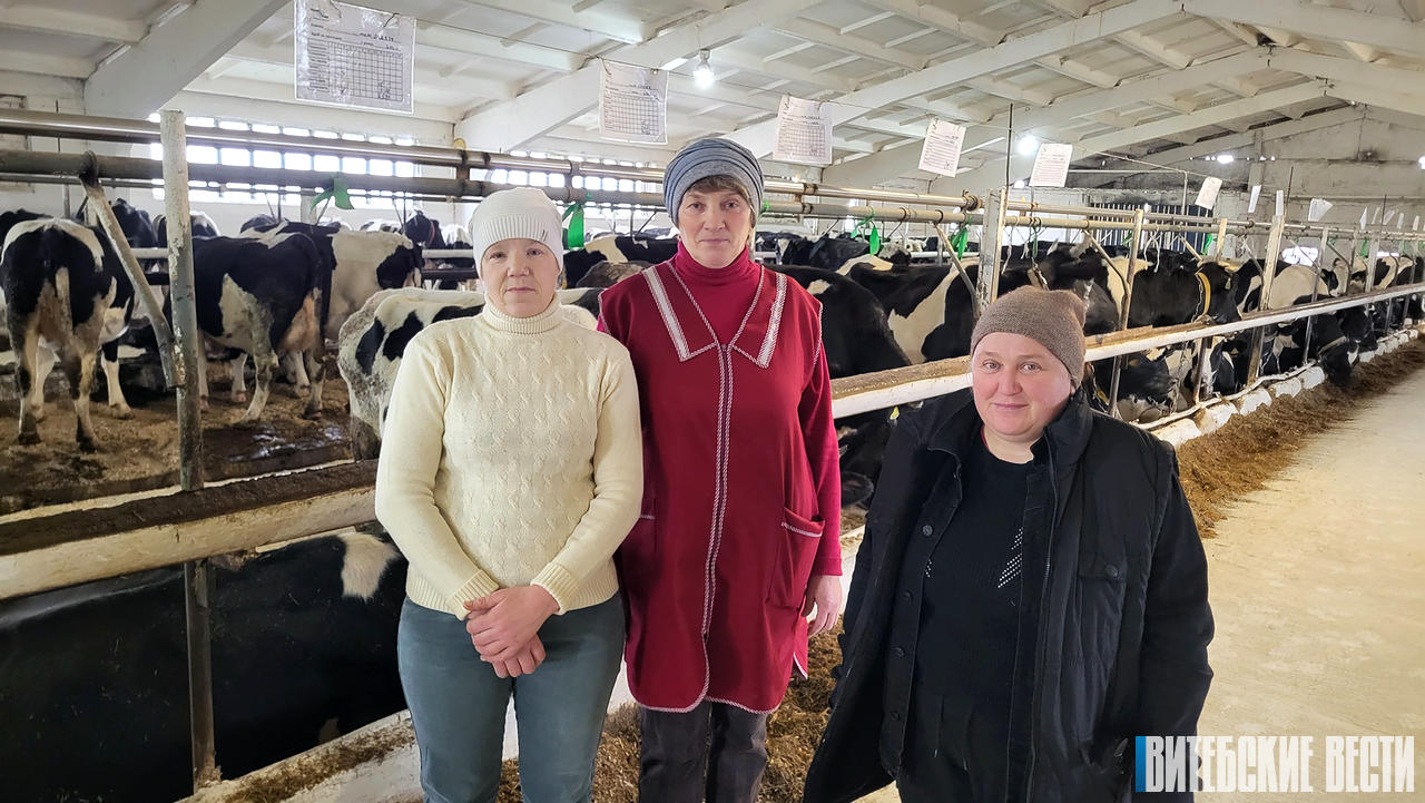 Чистота как элемент имиджа: в ОАО «Герой» Дубровенского района на системной основе улучшают условия на фермах