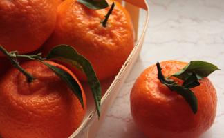 Что выбрать? Мандарины, клементины или…?