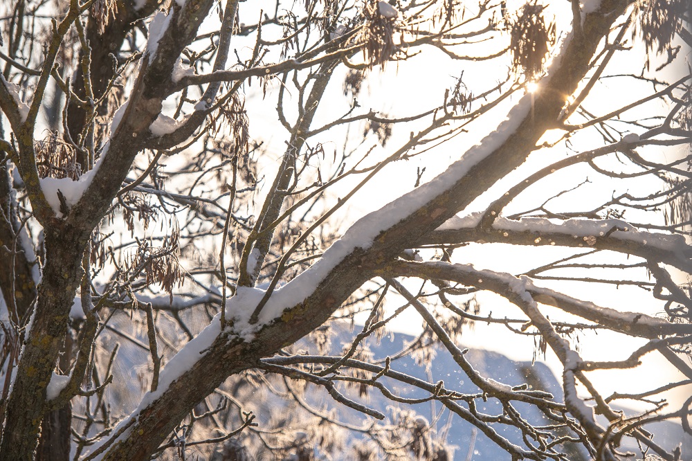 Мокрый снег и гололедица ожидаются сегодня в Беларуси