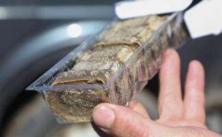 Определен поставщик приманок для вакцинации диких животных от бешенства для госзакупок из одного источника 