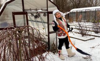 Календарь дачника на февраль: от ревизии семян до защиты деревьев от ожогов и мышей