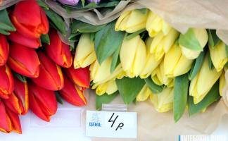 Цены на тюльпаны не выросли: МАРТ проверил цветочные прилавки Витебска перед 8 Марта