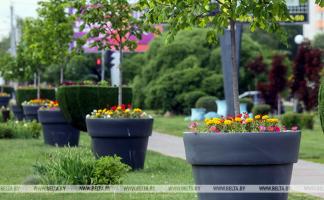 Какие населённые пункты Витебской области признали лучшими по итогам Года благоустройства?