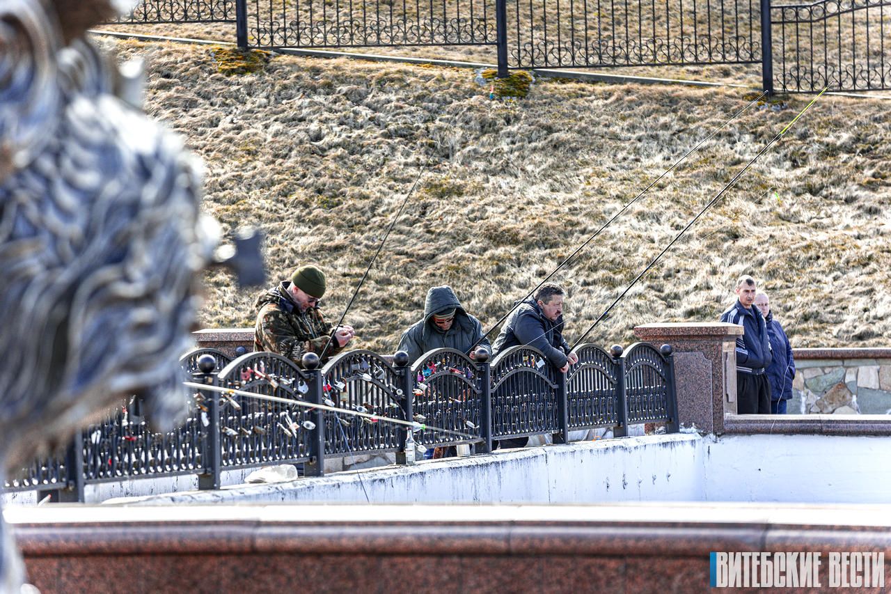 С 10 апреля в Витебской области устанавливается запрет на лов всех видов рыбы