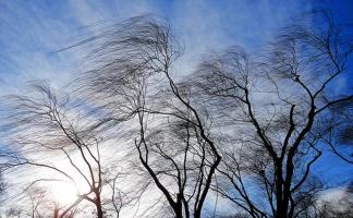 В Витебской области на 6 апреля объявлен оранжевый уровень опасности