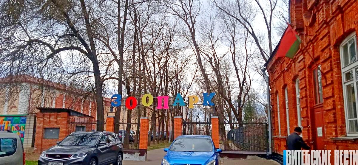 В Витебске возобновляют работу по переносу зоопарка из пешеходного квартала на окраину города