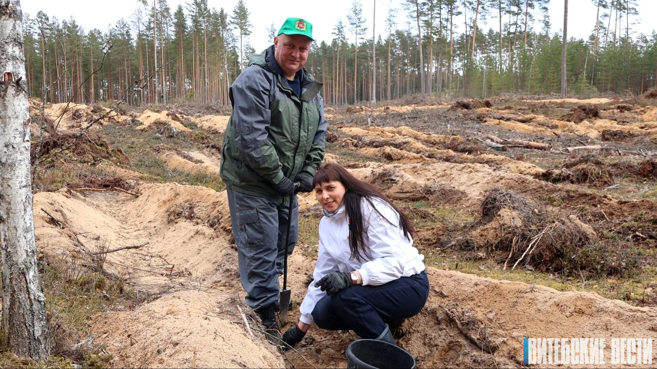 Дмитрий Демидов принял участие в республиканской добровольной акции «Лес! Дабро! Парадак!»