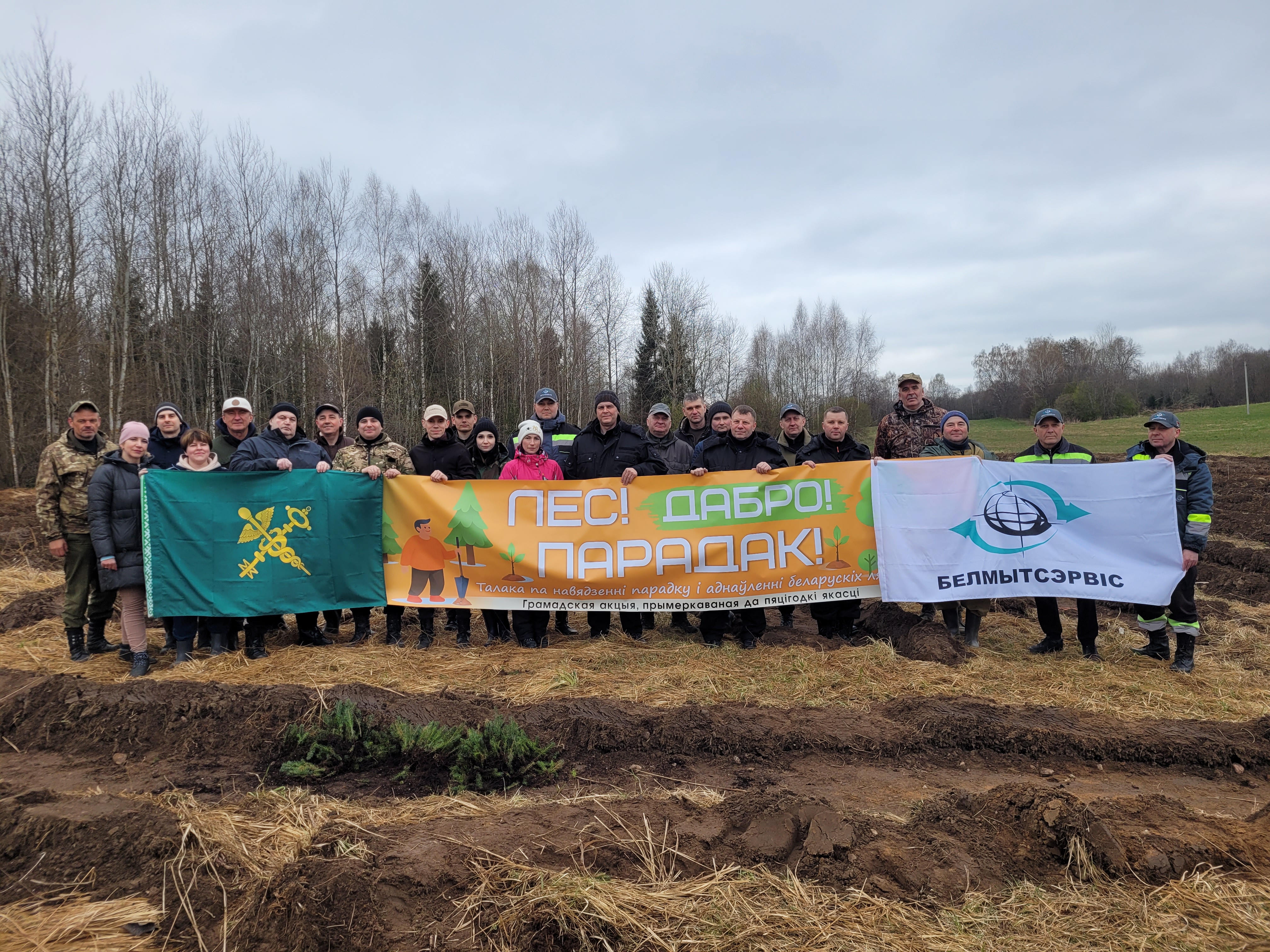 Витебские таможенники и Витебский филиал РУП «Белтаможсервис» высадили 3000 деревьев в рамках республиканской акции «Лес! Дабро! Парадак!»