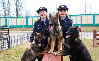 Команда мечты. Леди в погонах и их пушистые напарники по кадру — в спецпроекте «Витебских вестей» и Департамента охраны