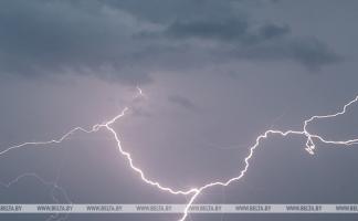 В МЧС напомнили о факторах опасности при грозах и сильном ветре