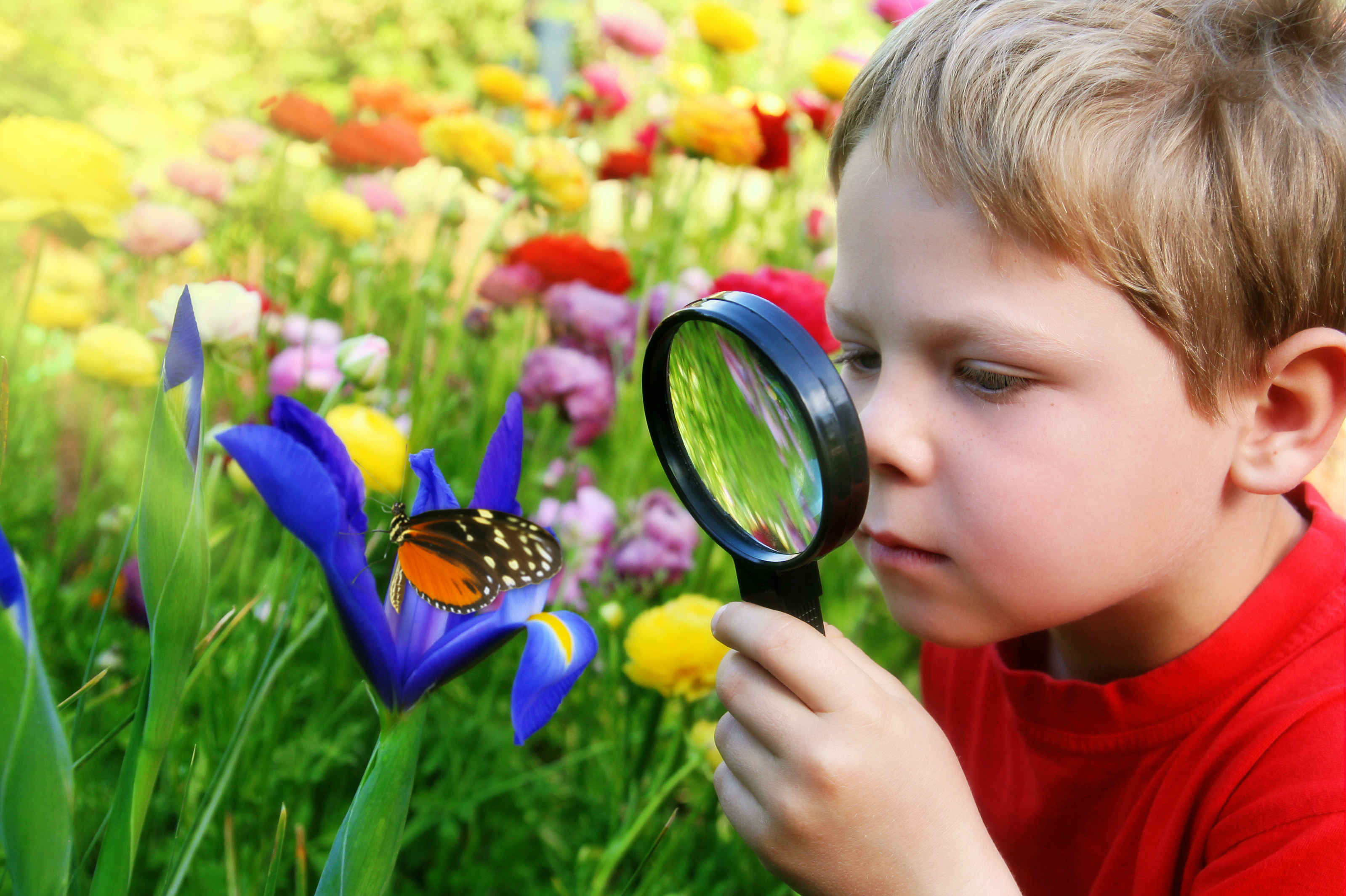 Картинка по фото поиск. Дети и природа. Ребенок познает мир. Изучение природы. Ребенок познает мир природы.