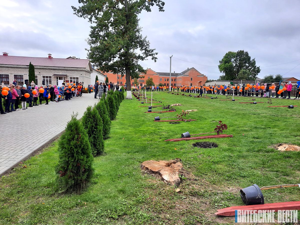 В Лепельском районе заложили Аллею единства, открыли мастерские в ТЦСОН и  модернизированную школу в Боровке