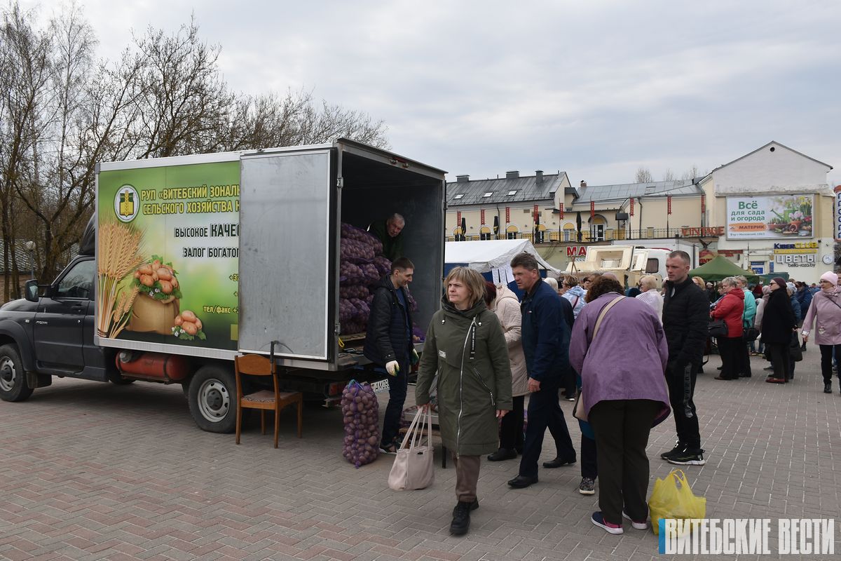 Что и за сколько можно купить на весенней ярмарке в Витебске?