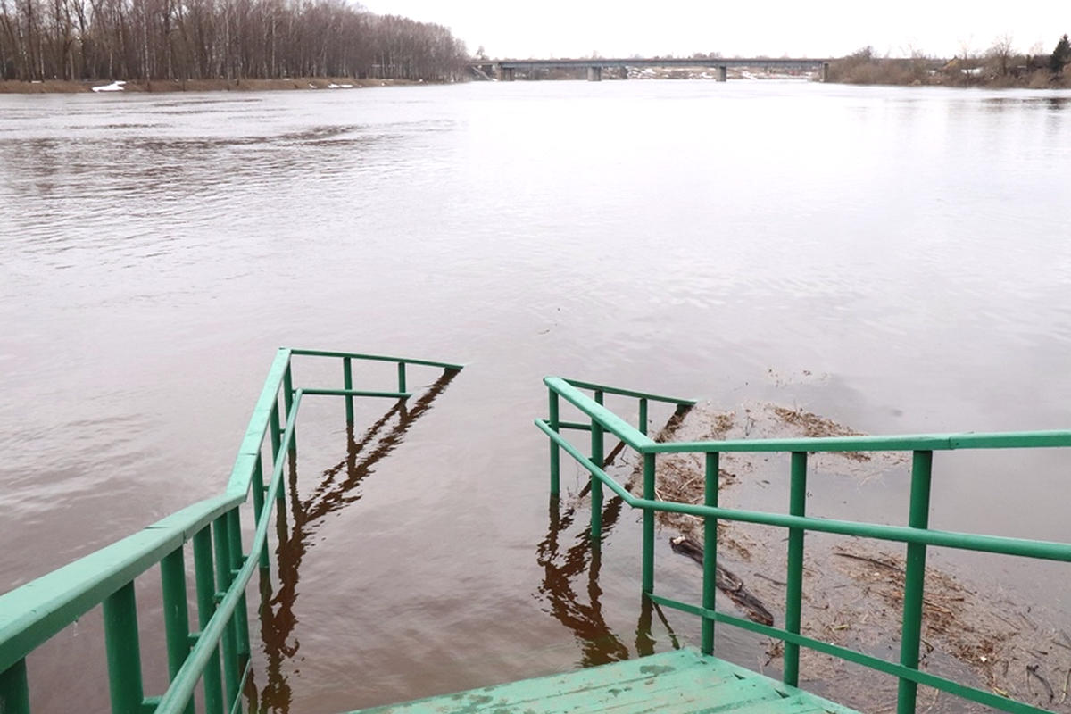 Уровень воды в западной двине. Западная Двина. Уровень воды в реке Западная Двина Полоцк. Фото на уровне воды. Фото Полоцк разлив Двины.