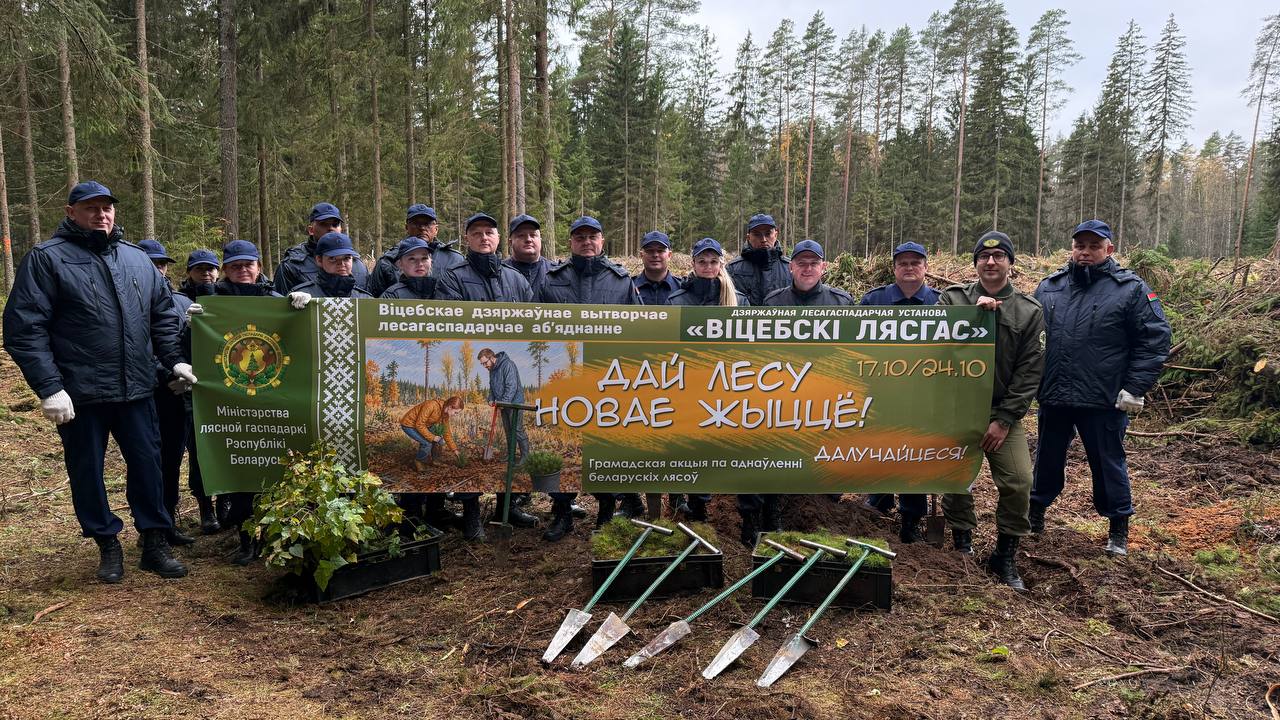 Работники органов прокуратуры Витебской области приняли активное участие в республиканской добровольной акции «Дай лесу новае жыццё!»