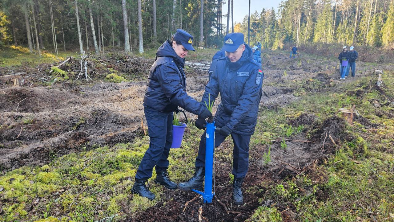 Следователи и студенты-целевики ВГУ Машерова присоединились к акции «Дай лесу новае жыцце!»