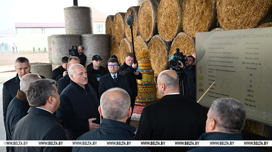 Александр Лукашенко об индивидуальном подходе в сельхозработах: пусть практики определятся, что им возделывать