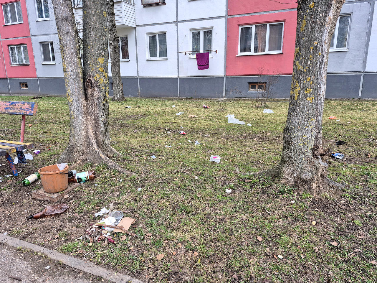 Праздник чистоты прошел мимо: почему одни дворы в Витебске утопают в мусоре, а другие сияют клумбами