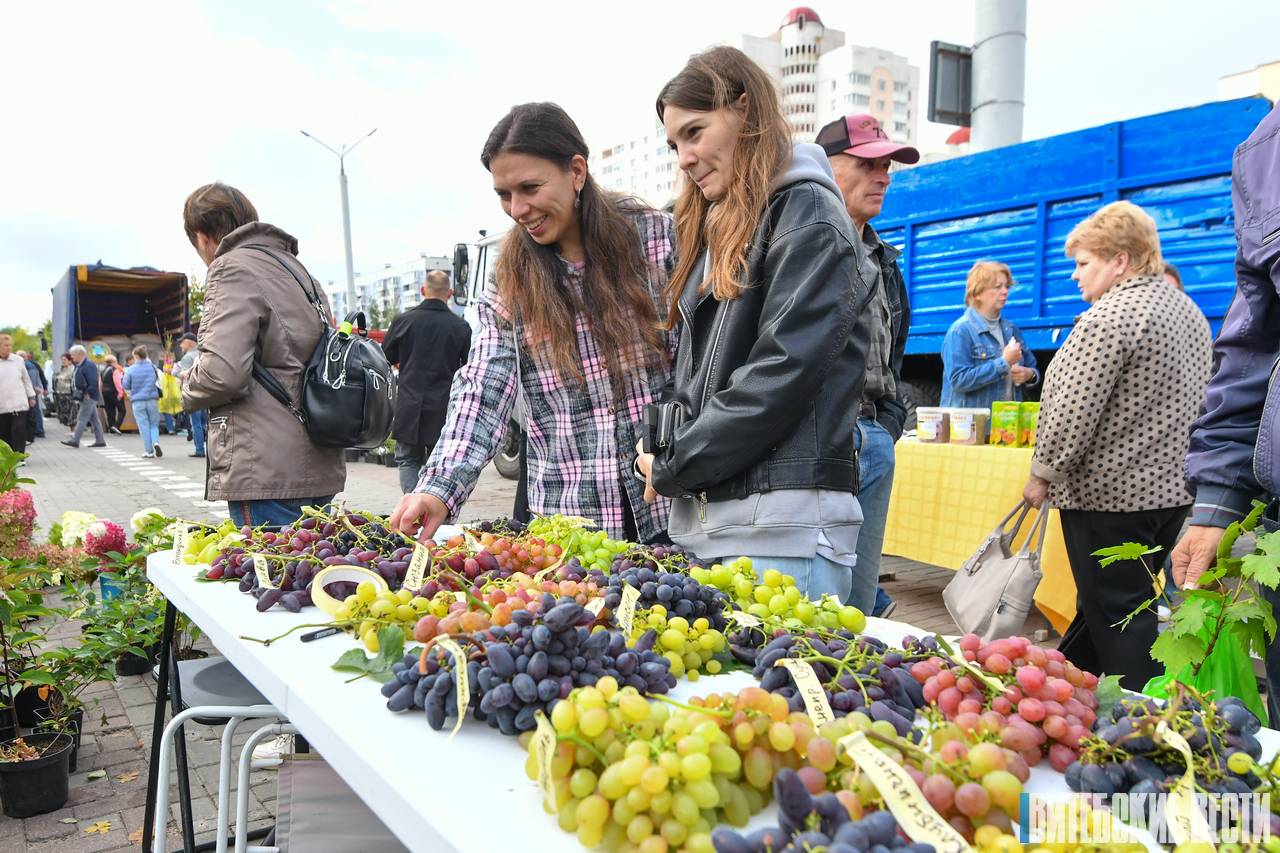 Когда и где в Витебске пройдут городские сельскохозяйственные ярмарки