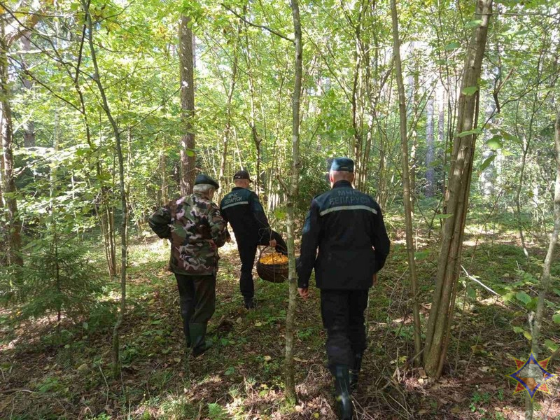За сутки спасатели нашли трех потерявшихся граждан в лесах Витебской области